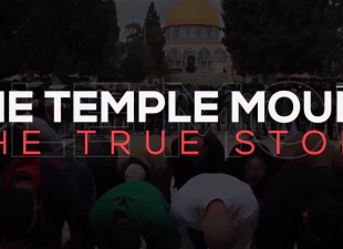 the temple mount